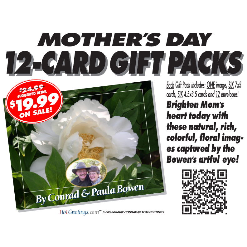 Assorted Cards at a Physical Show Location