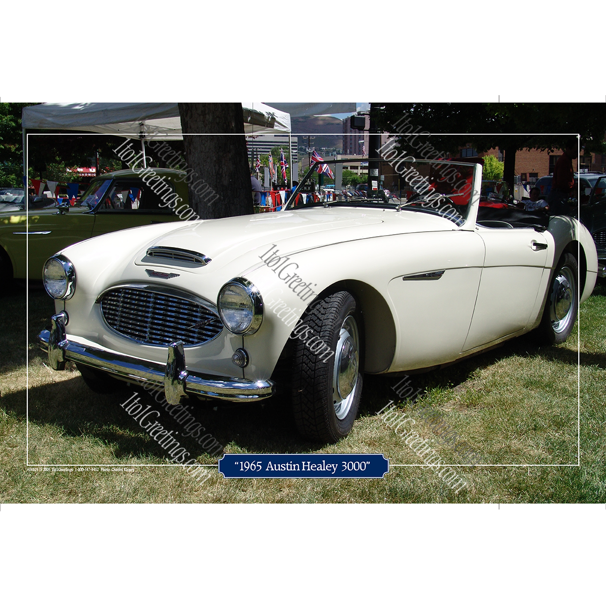06829-65AustinHealey300011X17.png