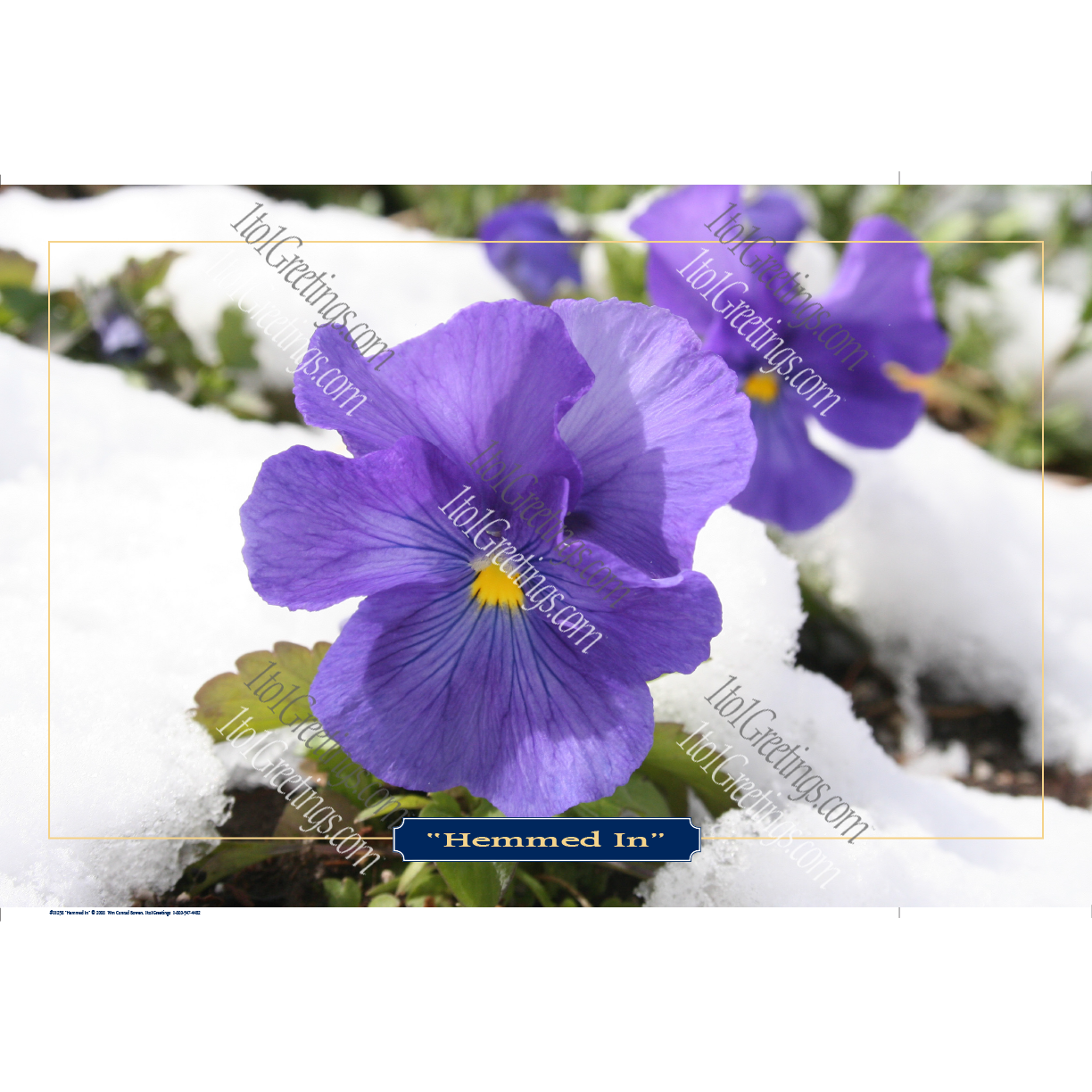 22022-01258-HemmedIn.png