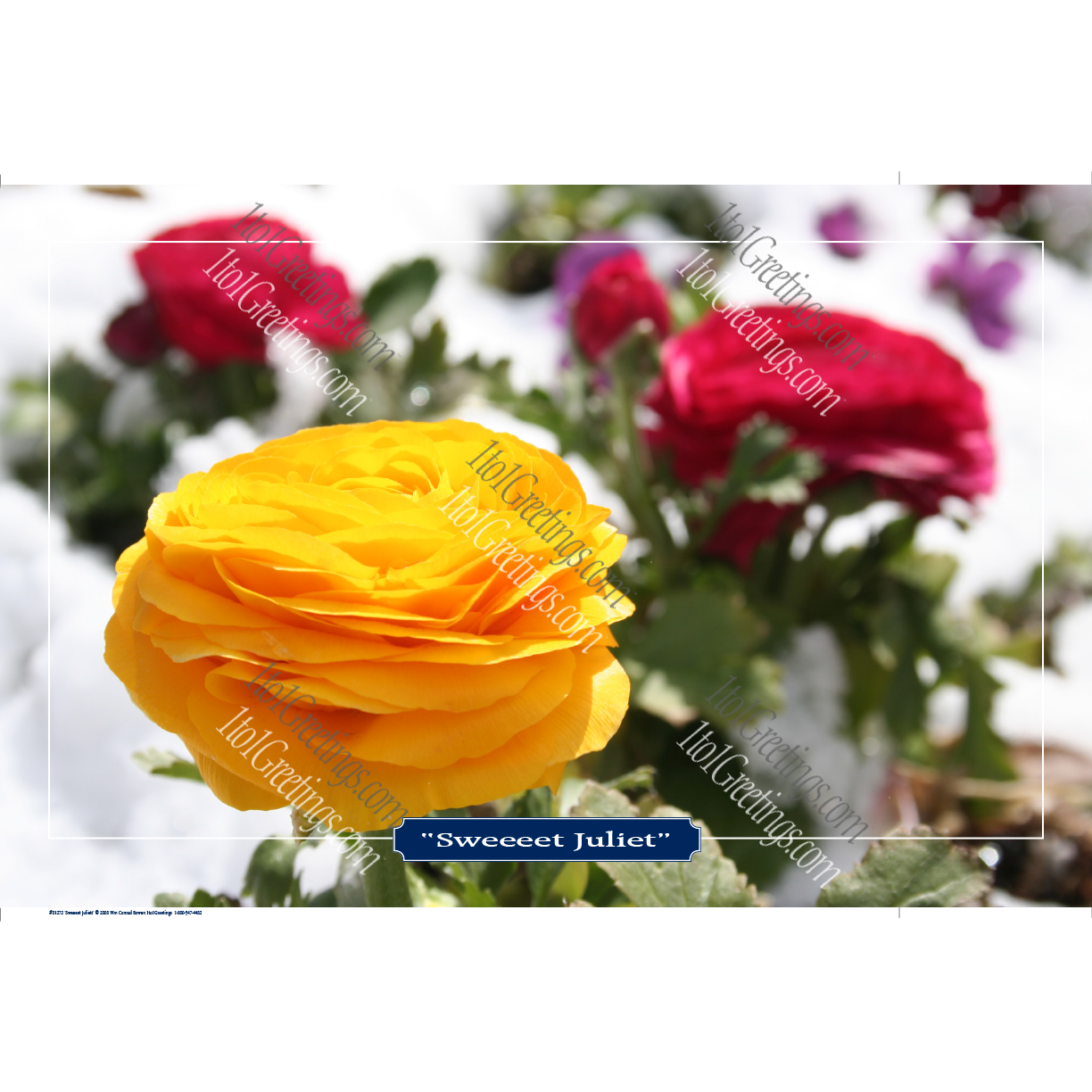 22022-01272-SweeeetJuliet.png