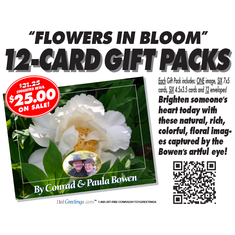 00655 RackHeader-Bloom-$25.png