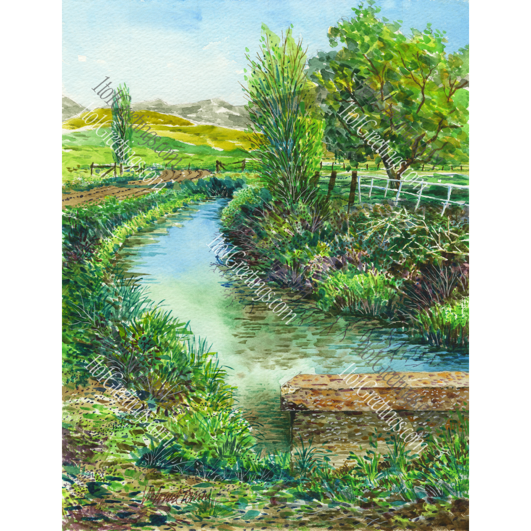 01406-ParadiseCanal-H-15x11.5.png
