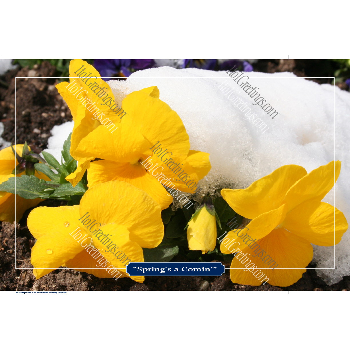 22022-01225-Spring'saComin.png