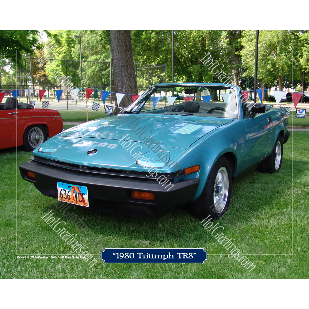 06846-80TriumphTR811X14.png