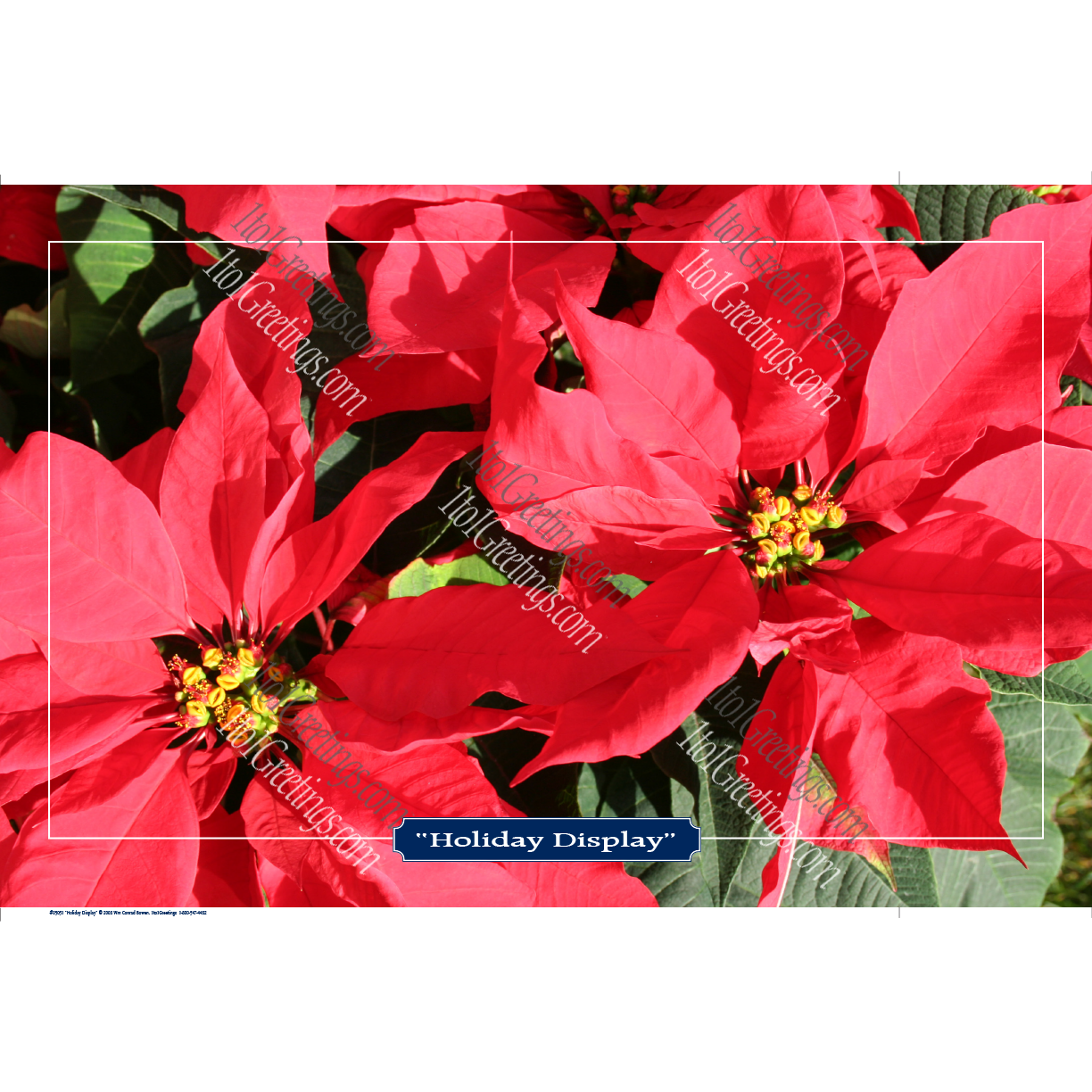 22022-05051-HolidayDisplay.png
