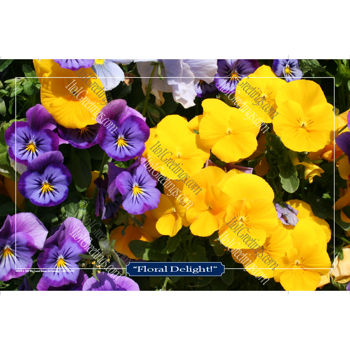 00638-FloralDelight11x17.png