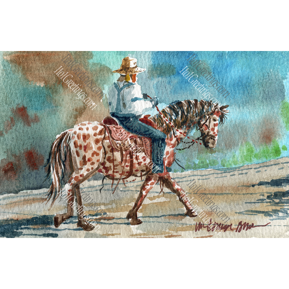 01401-Don'sAppaloosa17x11.png