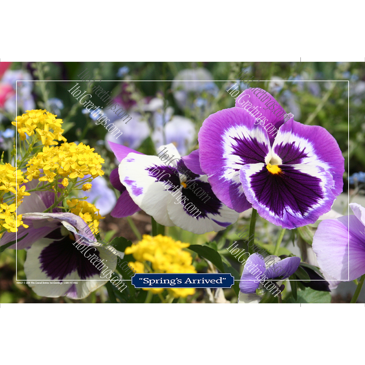 00623-Spring'sArrived11x17.png