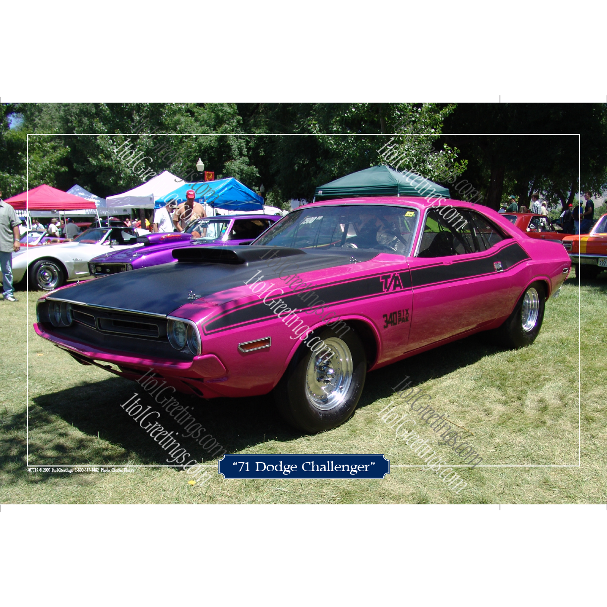 07719-71DodgeChallengerPink11x17.png