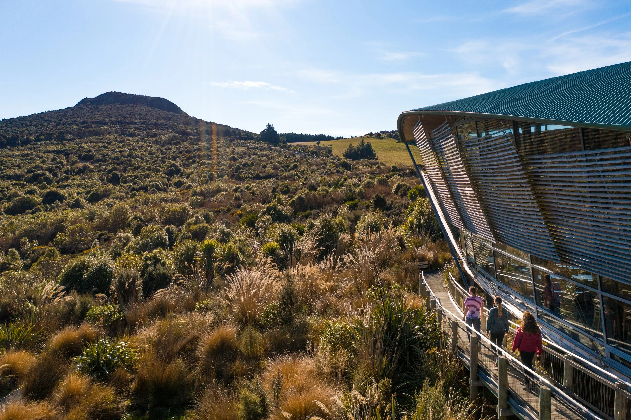 New Coastal Trail Delivers Surge of Visitors to Orokonui Café