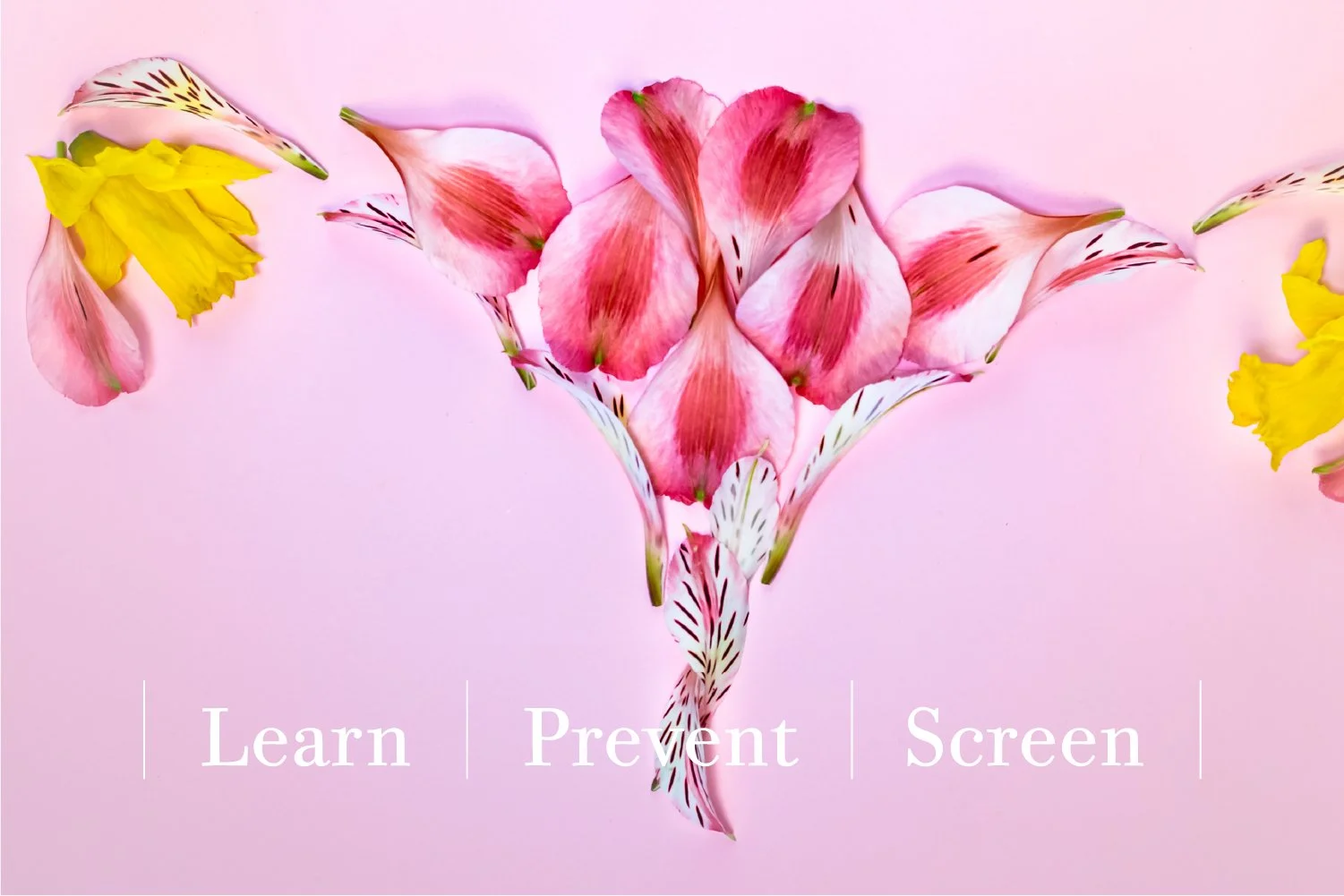 Cervical Health and HPV — Naperville Women’s Healthcare News & Updates