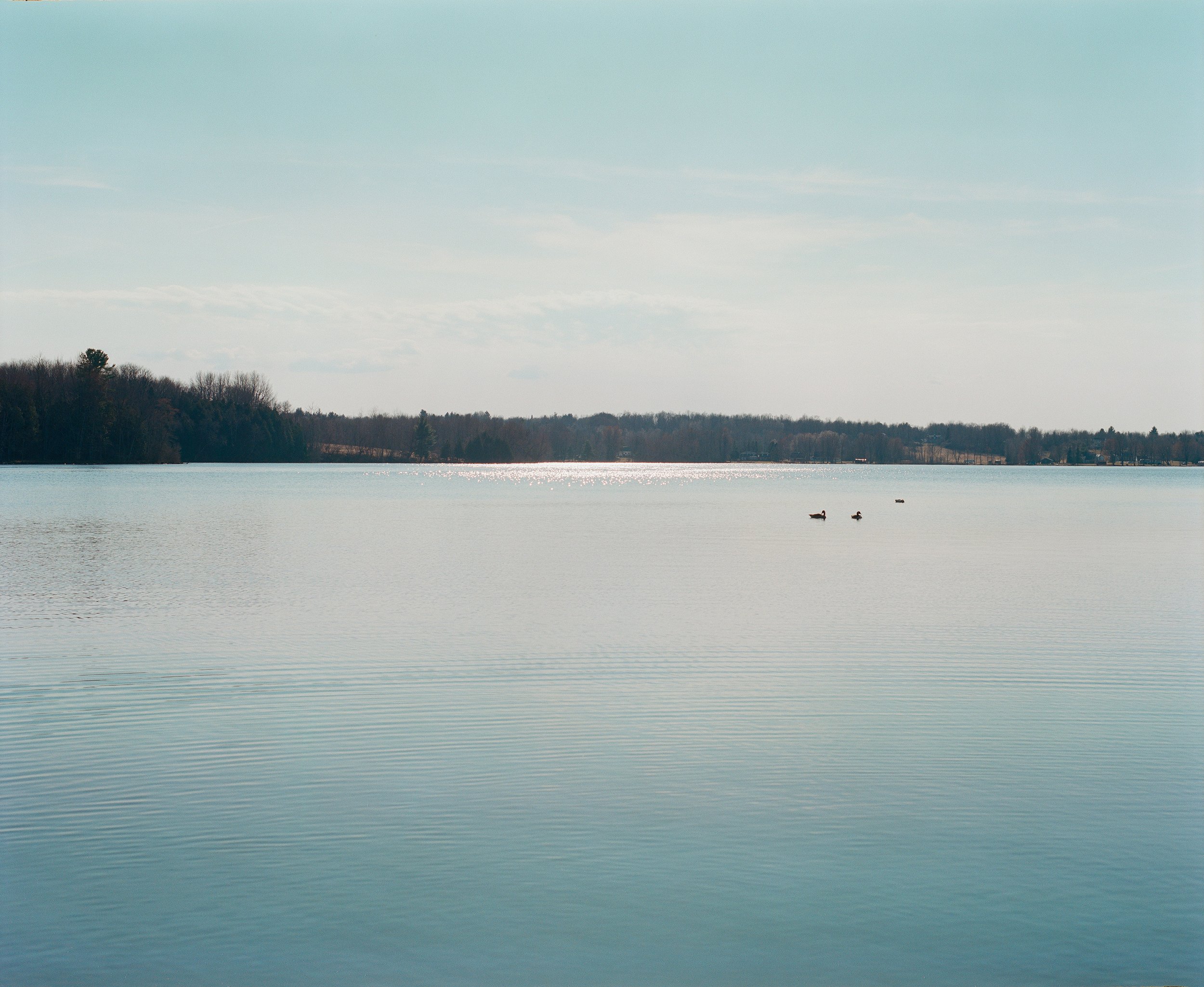 BELLA COLE PHOTOGRAPHY