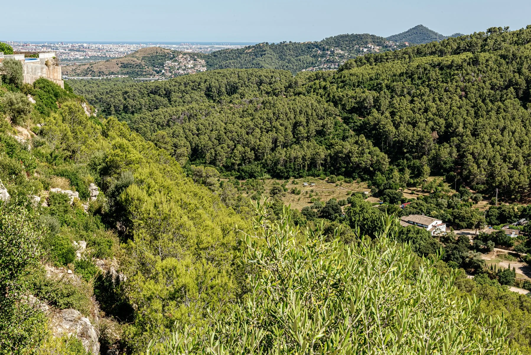 Vista panorámica de colinas verdes y un valle con árboles y casas, con una ciudad y el mar en el fondo.