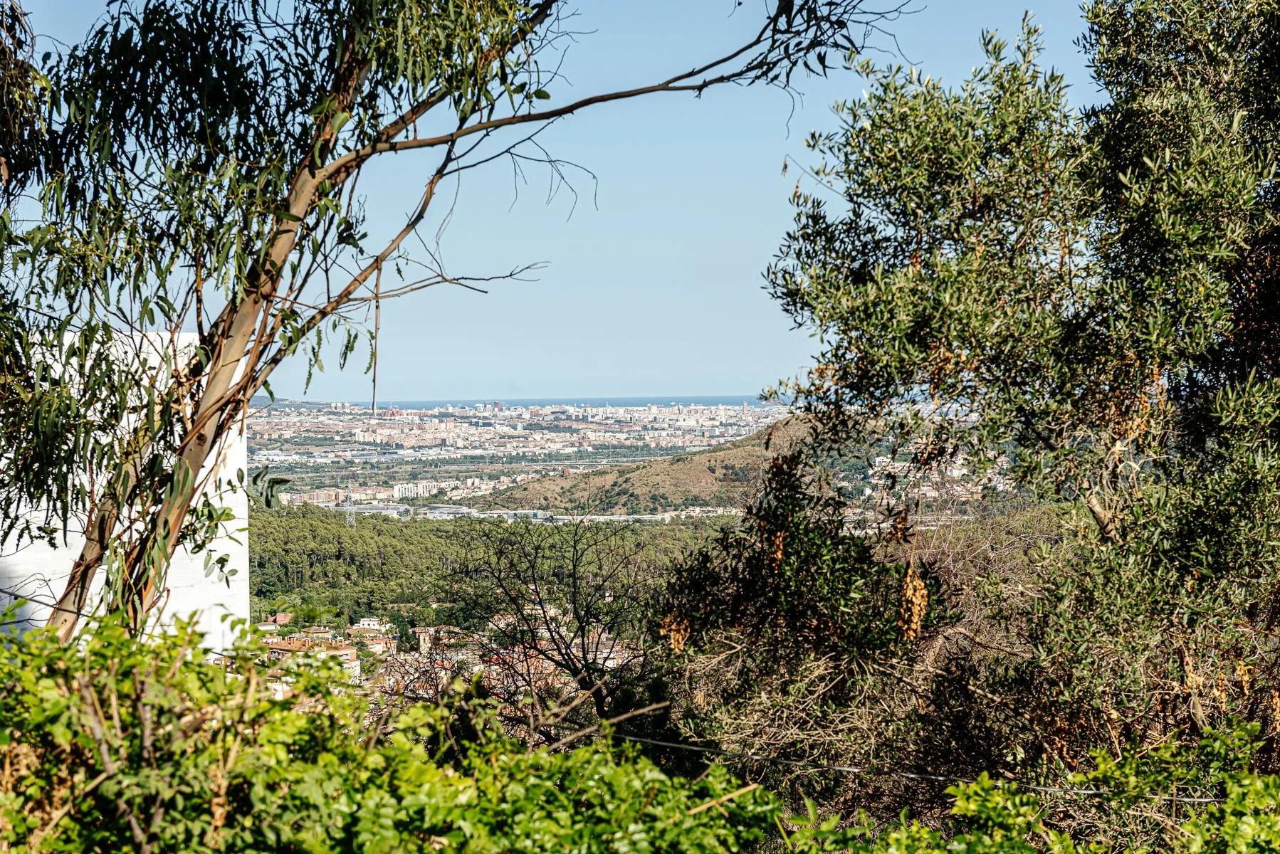 Vista panorámica de una ciudad desde un área rodeada de árboles y vegetación, con montañas al fondo y cielo despejado.