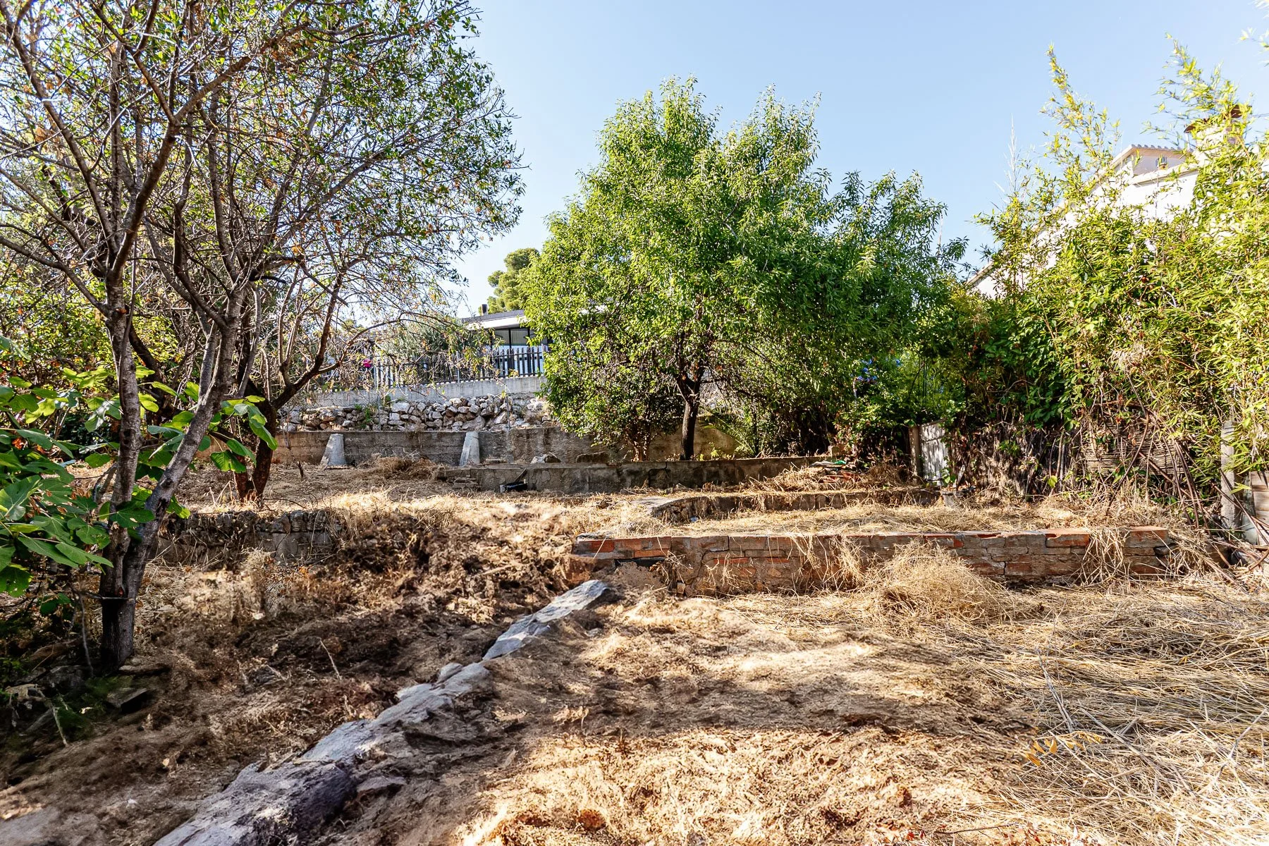 Terreno en un jardín con árboles y plantas, con tierra seca y algunos restos de construcción o muros en el sitio.