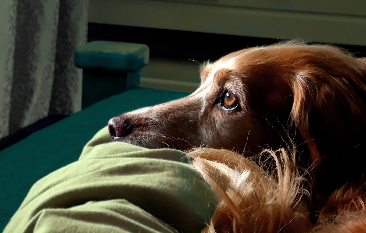 No Thought Will Help You - For Change Leaders Too