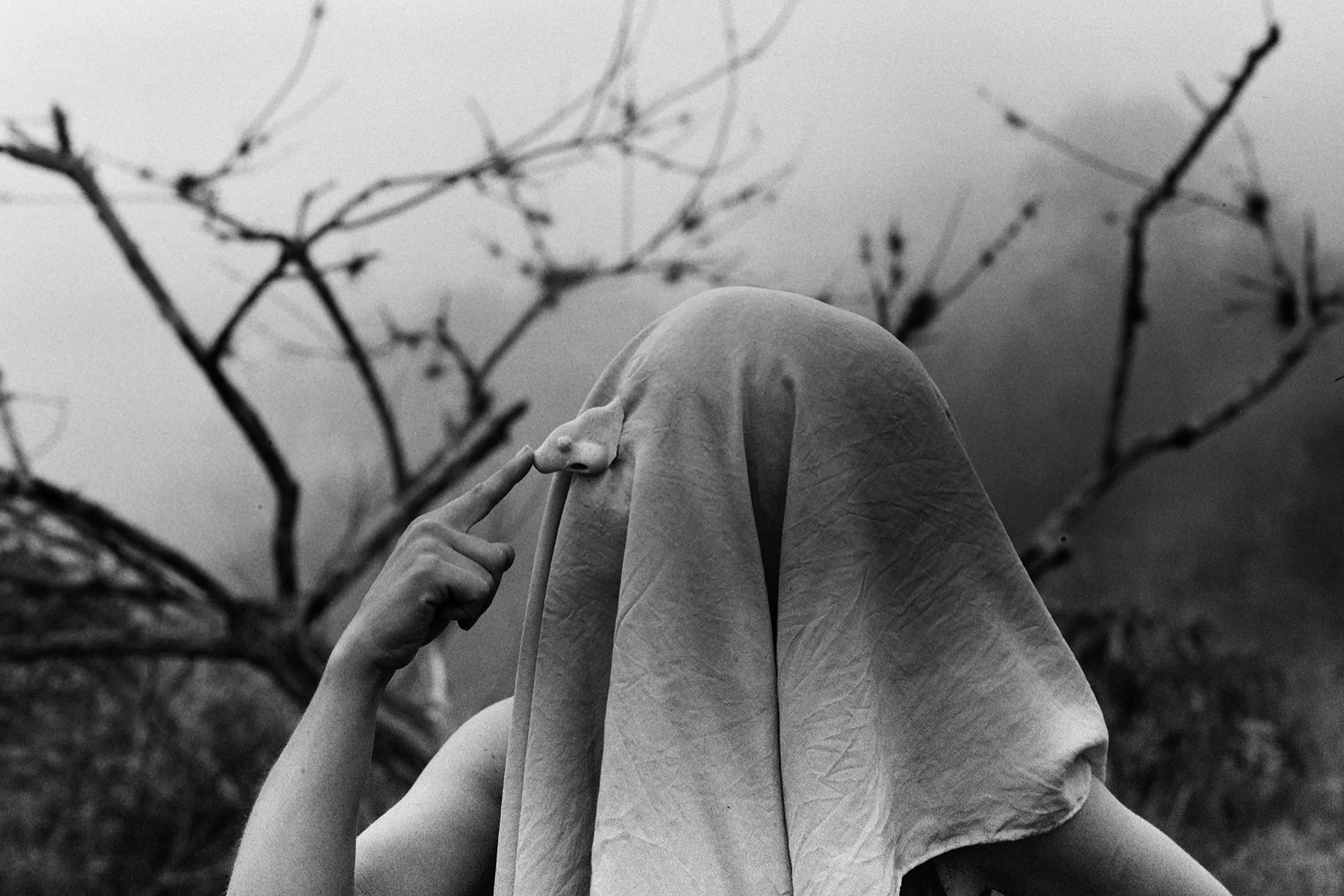 The Magic Power of the Shovel 