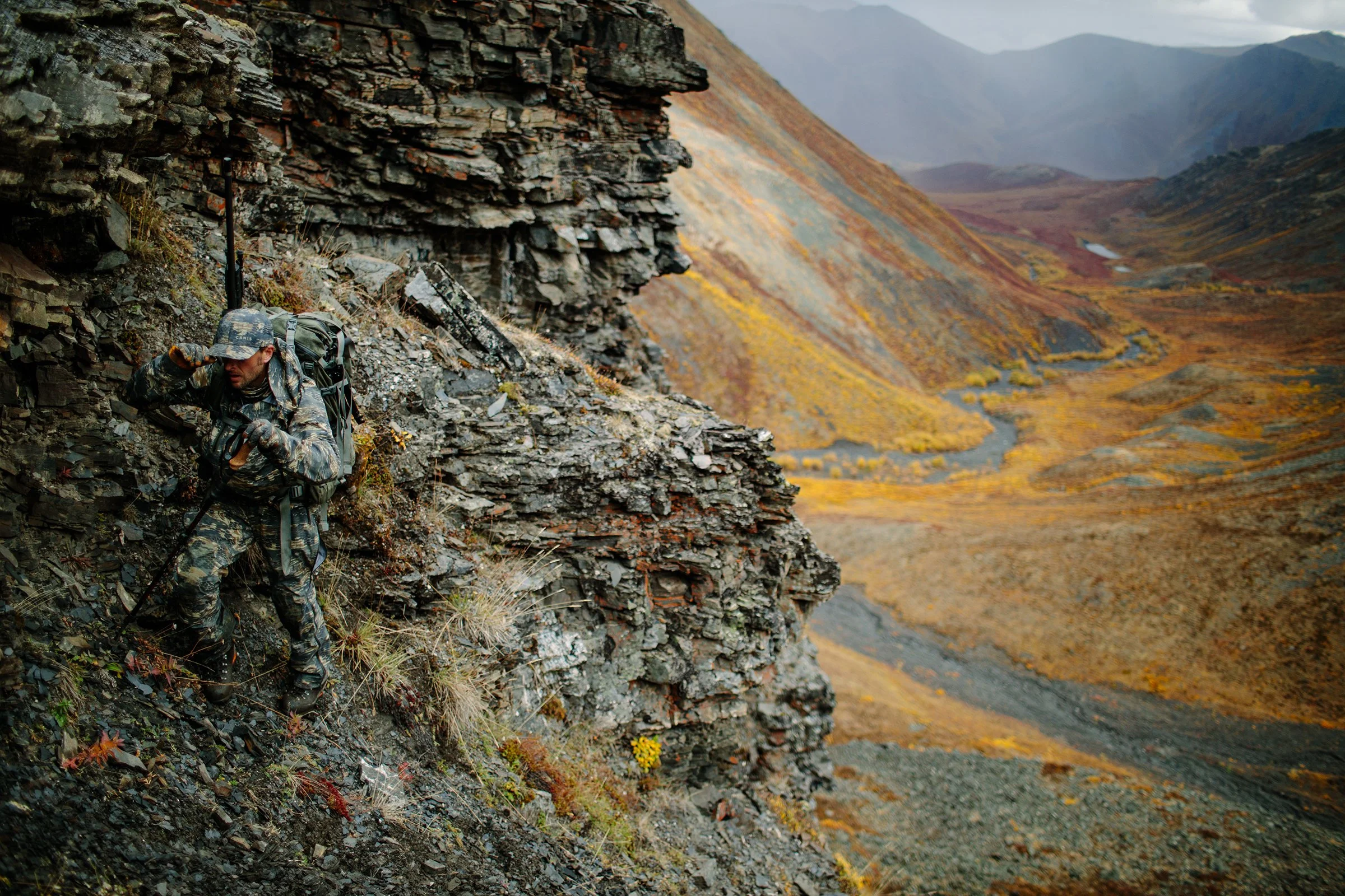 Canis_AK_Dahl-1335.jpg