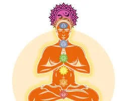 Yoga Sutras at HUA, I learned to apply the wisdom of the Yoga Sutras to daily life. I explored ways to cultivate mindfulness, inner balance, clarity of thought, and a deeper sense of presence both on and off the mat.
