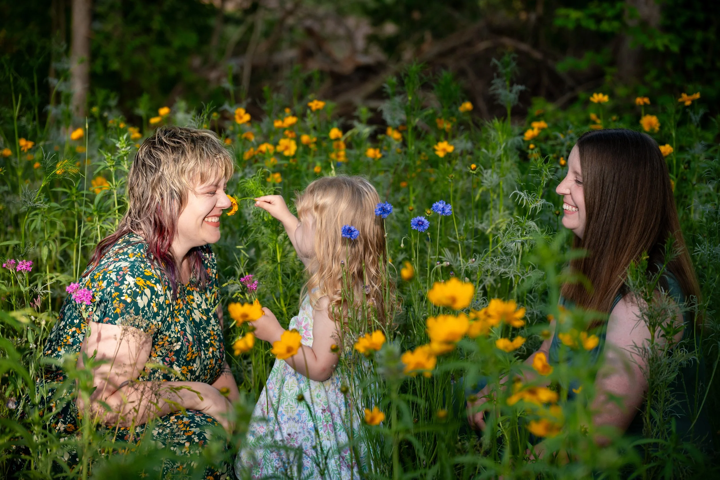 Wildflower Mini Photo Sessions