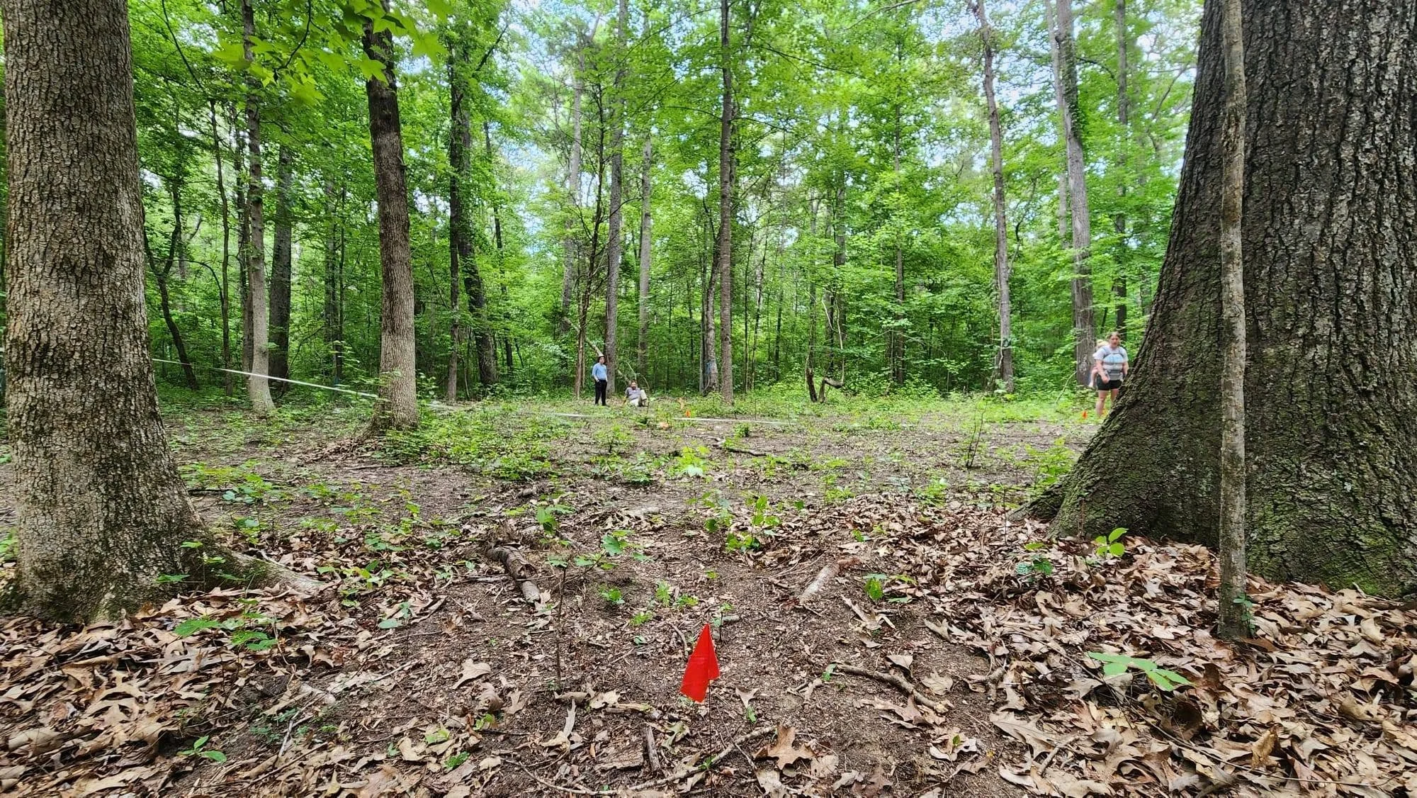 Farm Volunteer Day: Fire Dance Arbor