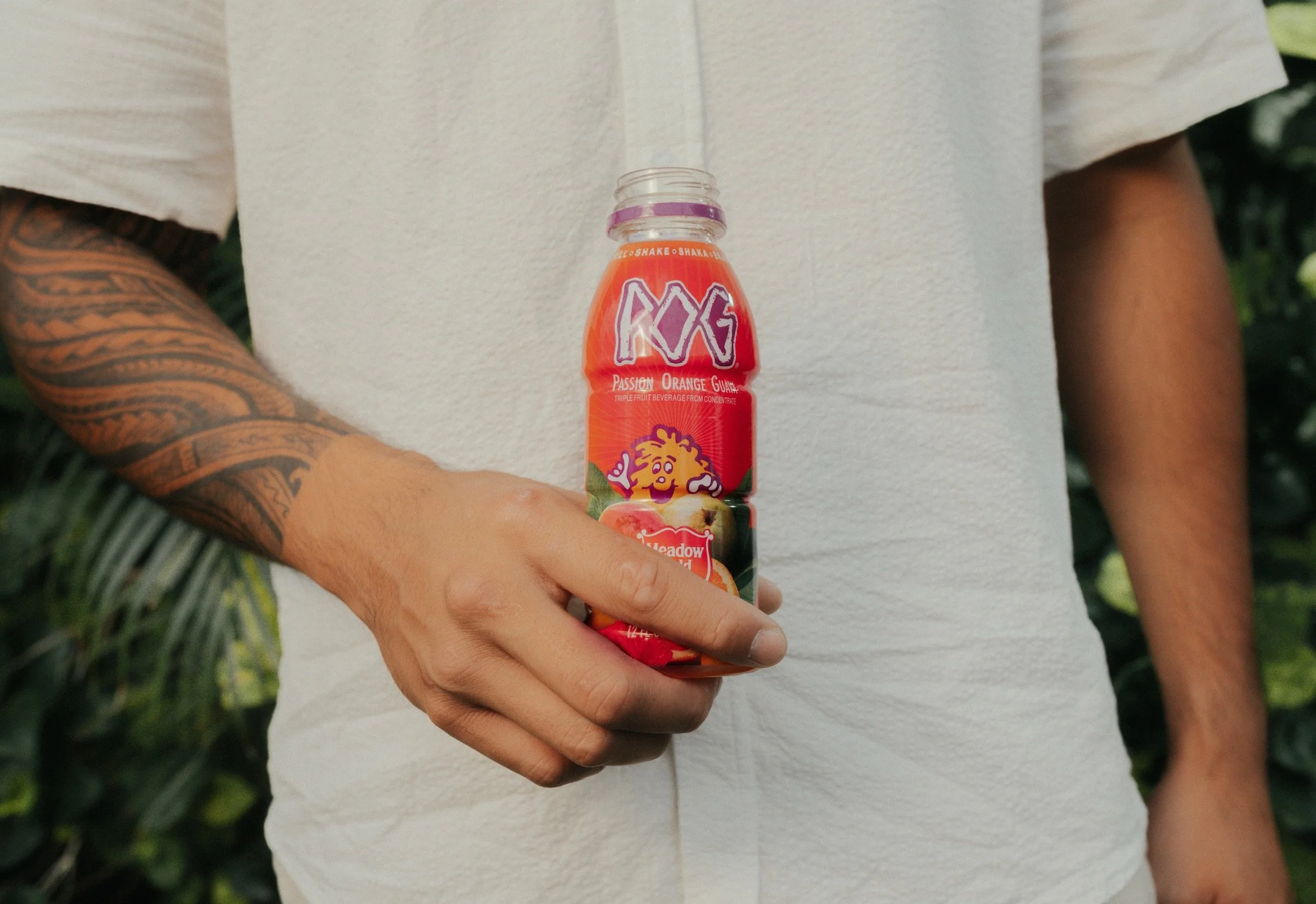 Hawaii Dairy Products | Milk, Juices, Ice Cream & More – MGD Hawaii ...