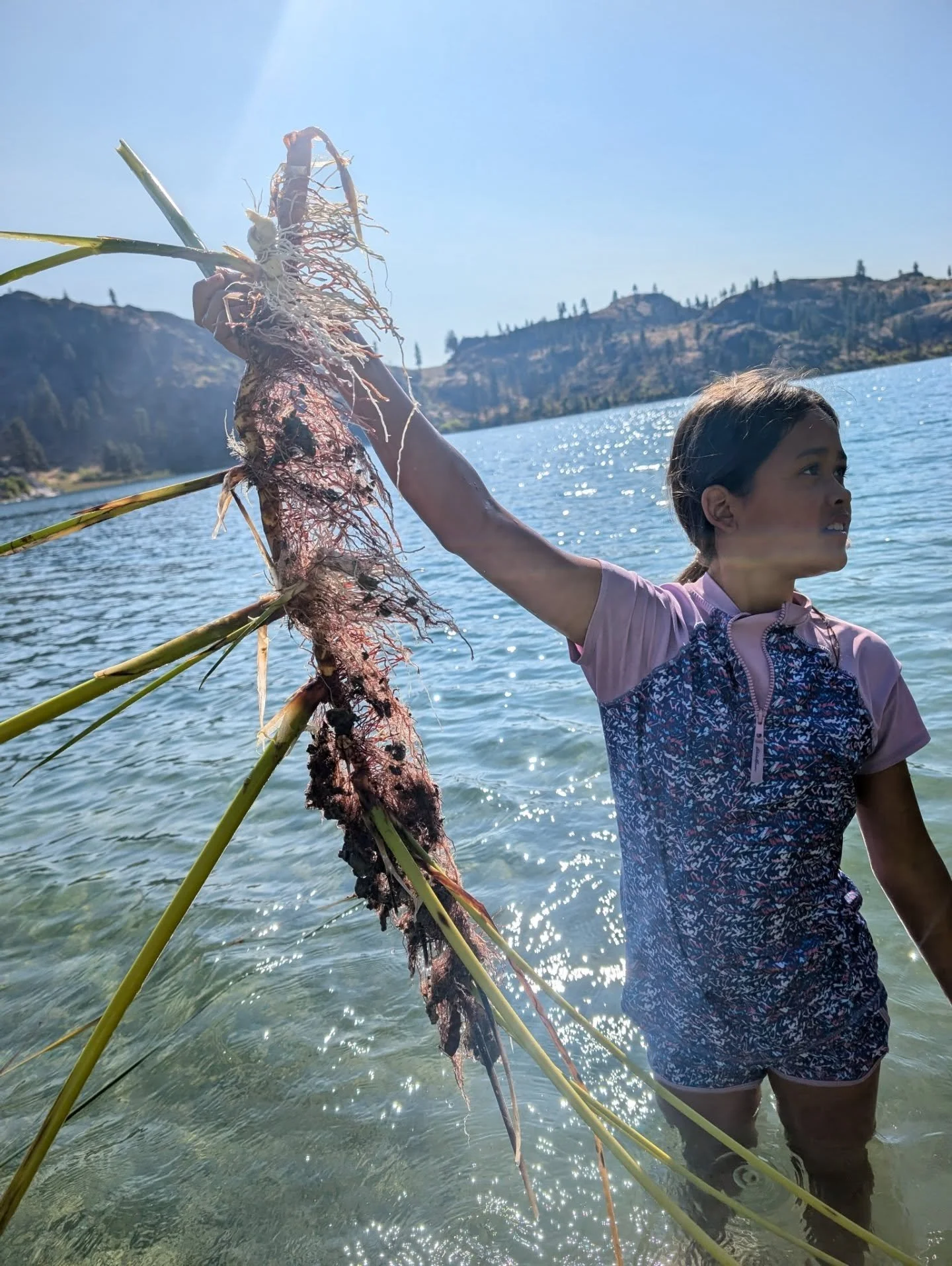 Cultural Pathways is one of Nature Immersion's program that is dedicated to land based education for grades 6th through 8th at Omak, Okanogan middle school and Paschal Sherman Indian School. This year we are diving deep into what reciprocity looks li