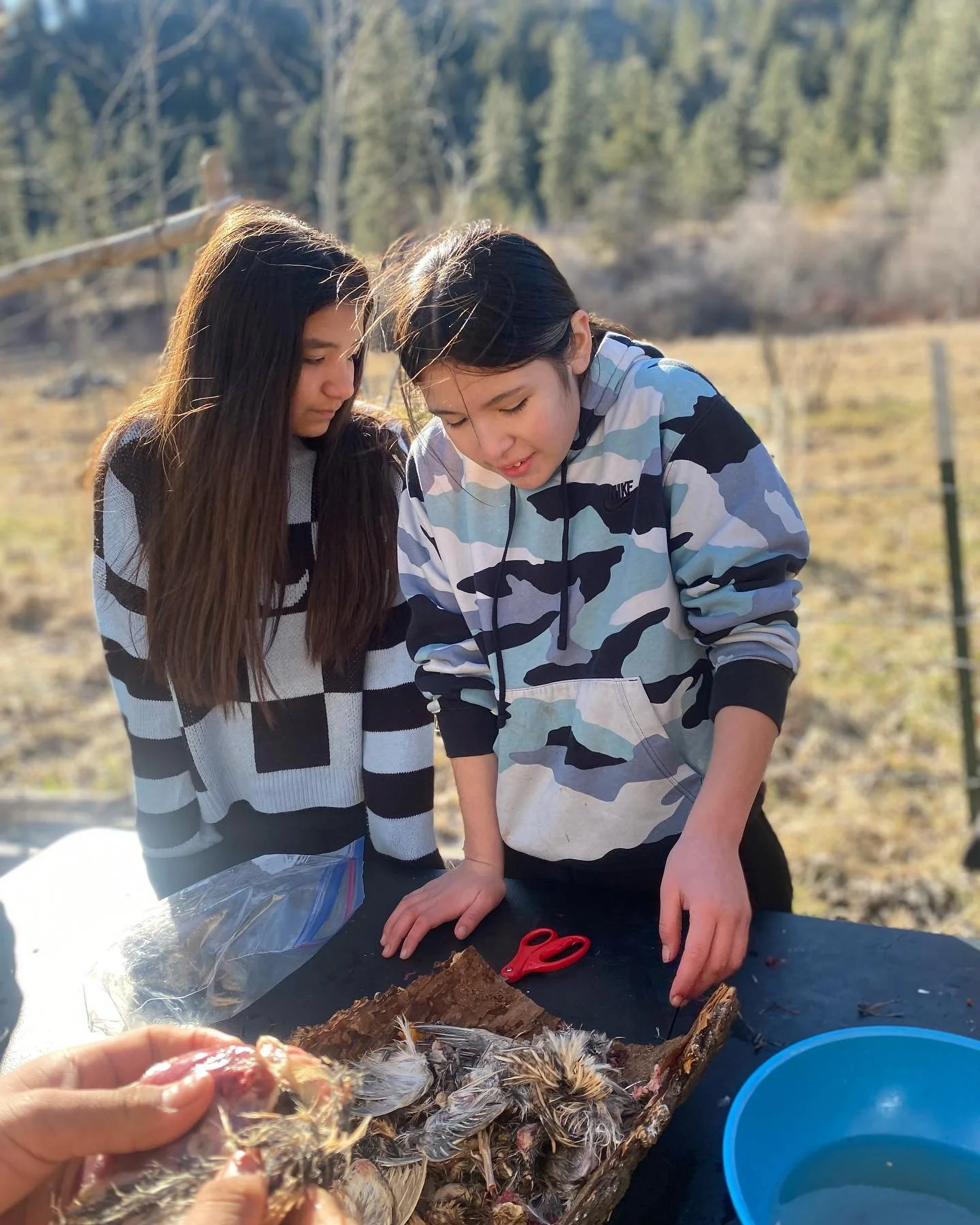 Nature Immersion launched its mid winter/ spring field season last week with Paschal Sherman middle schoolers. Students gained hands on experience with non-lethal traps and discussed local and state regulations, hunting and trapping for sustenance as