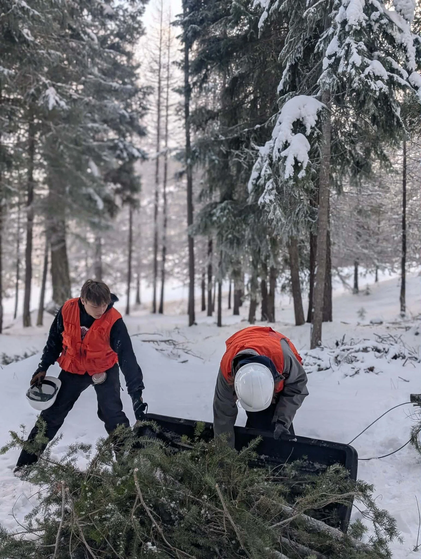 Nature Immersion is requesting your time and support in a community needs survey. All your input will help us in the design of a new social emotional learning curriculum for Native youth. Please pass along and reshare!

https://forms.gle/YGVPqpqQEheB