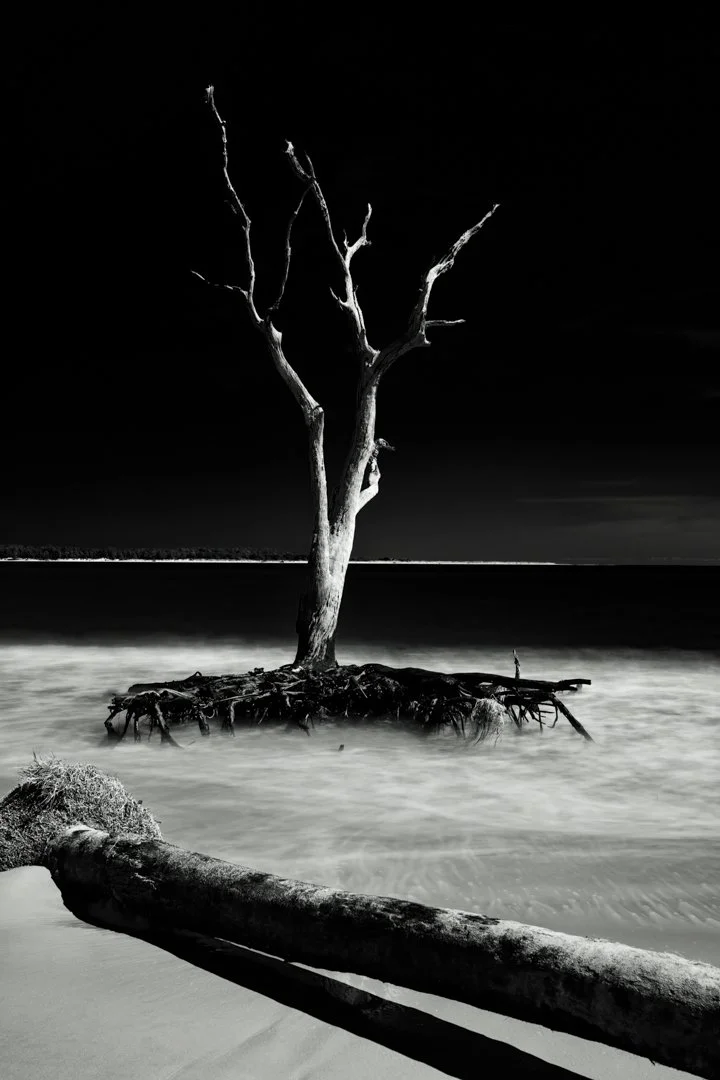 Reach - Boneyard Jacksonville, FL