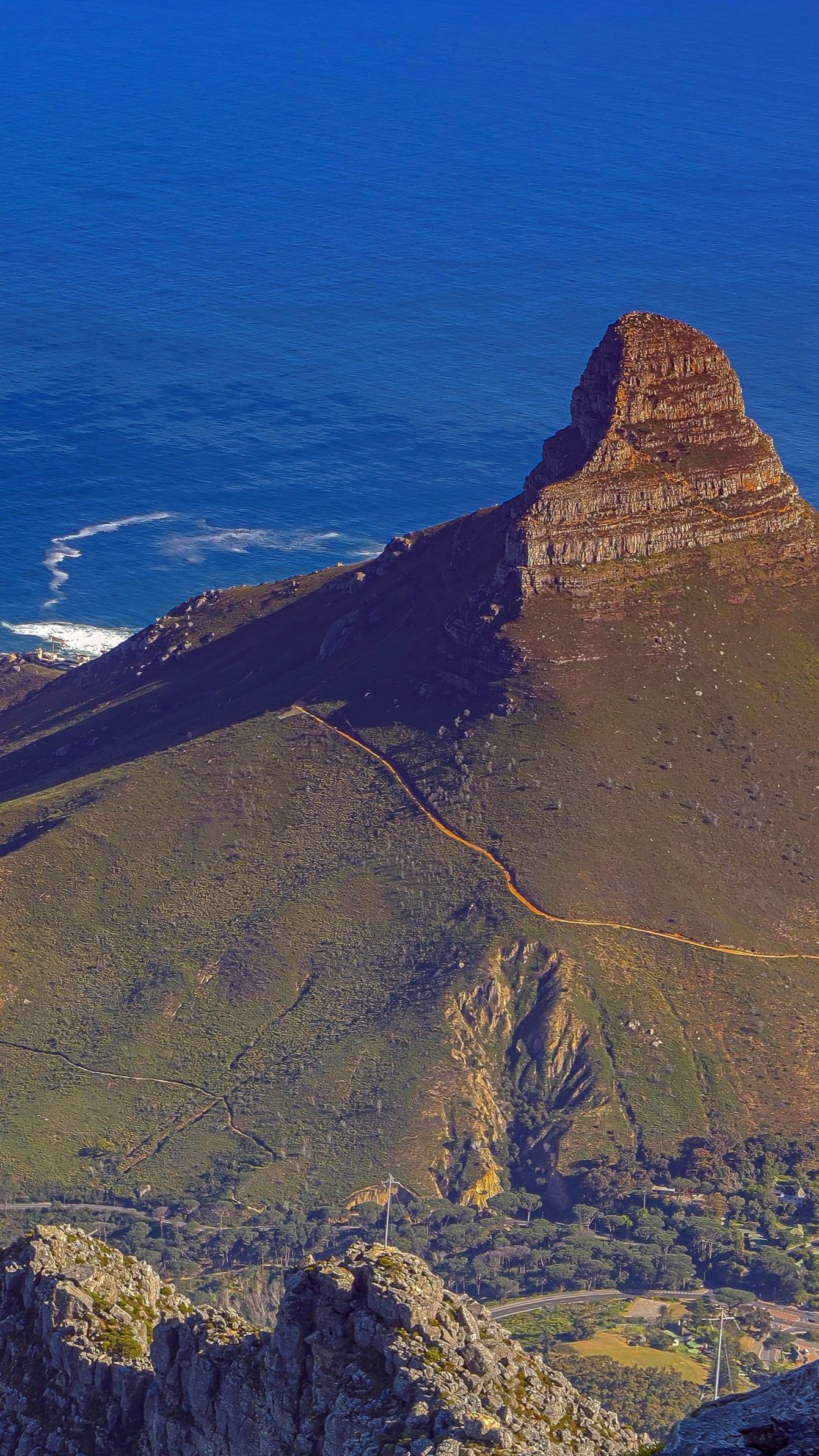 Lion's Head South Africa