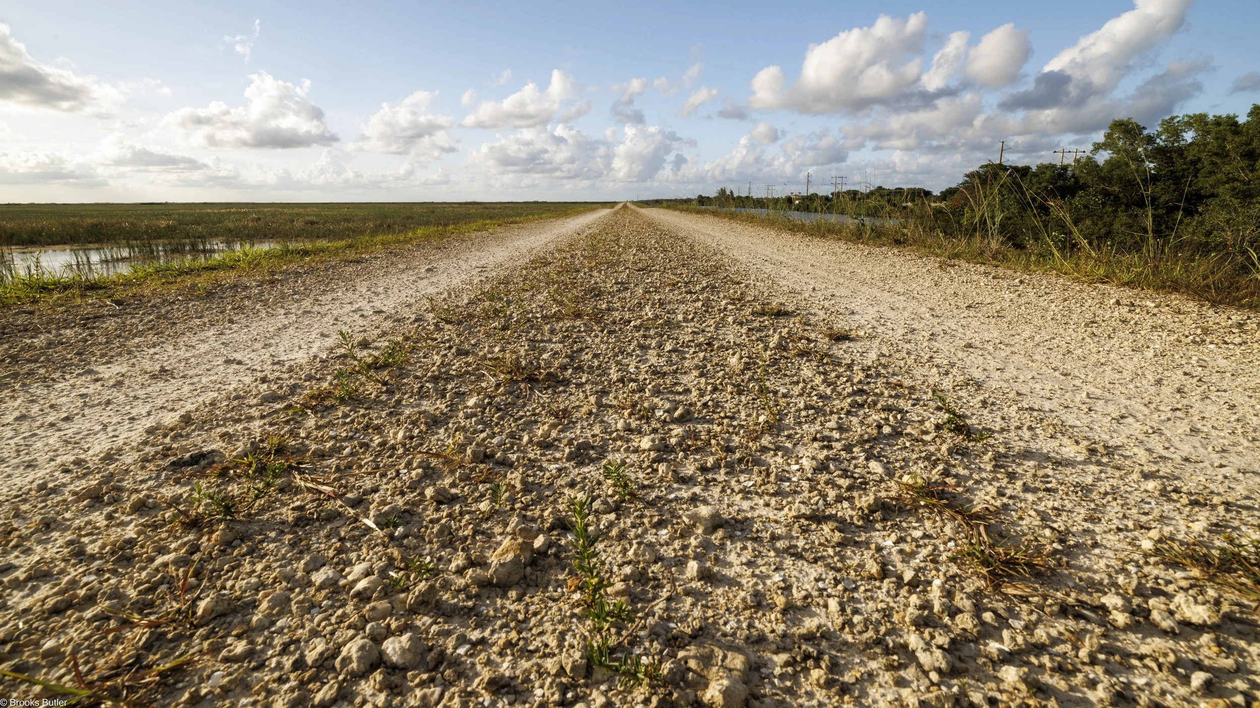 Conservation Levee Greenway Florida