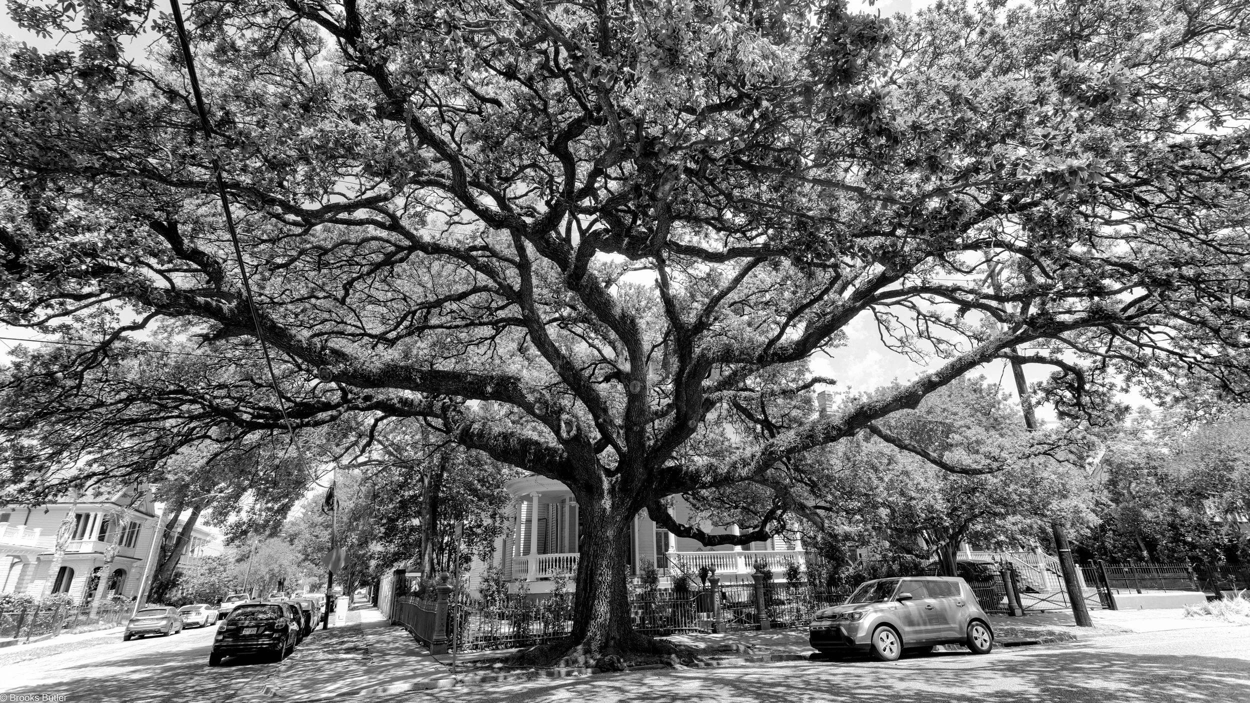 New Orleans Garden District
