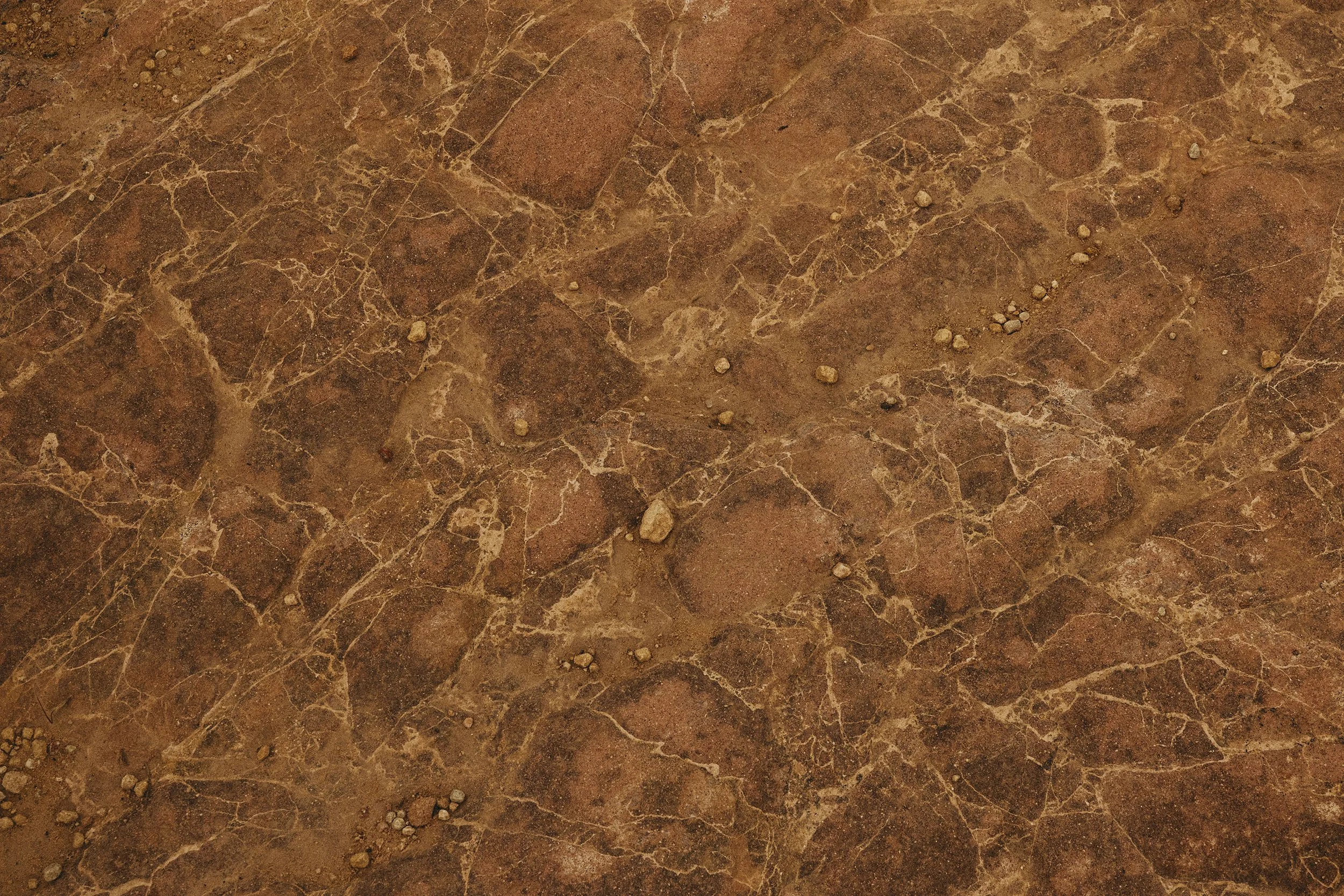 High-resolution earth-tone rock texture by Scorpion Rose Studio and Lafayette American. Natural geological patterns used as organic background inspiration for branding.
