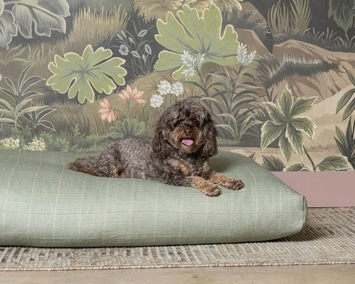 Picture-perfect pets deserve a perfect picture!
We are excited to announce a Pet Portrait Pop-Up on November 7th at Scenic!
@unleashedfur + our iconic wallpaper + custom dog beds = the cutest holiday photo ever!
Tickets are limited, so book your time