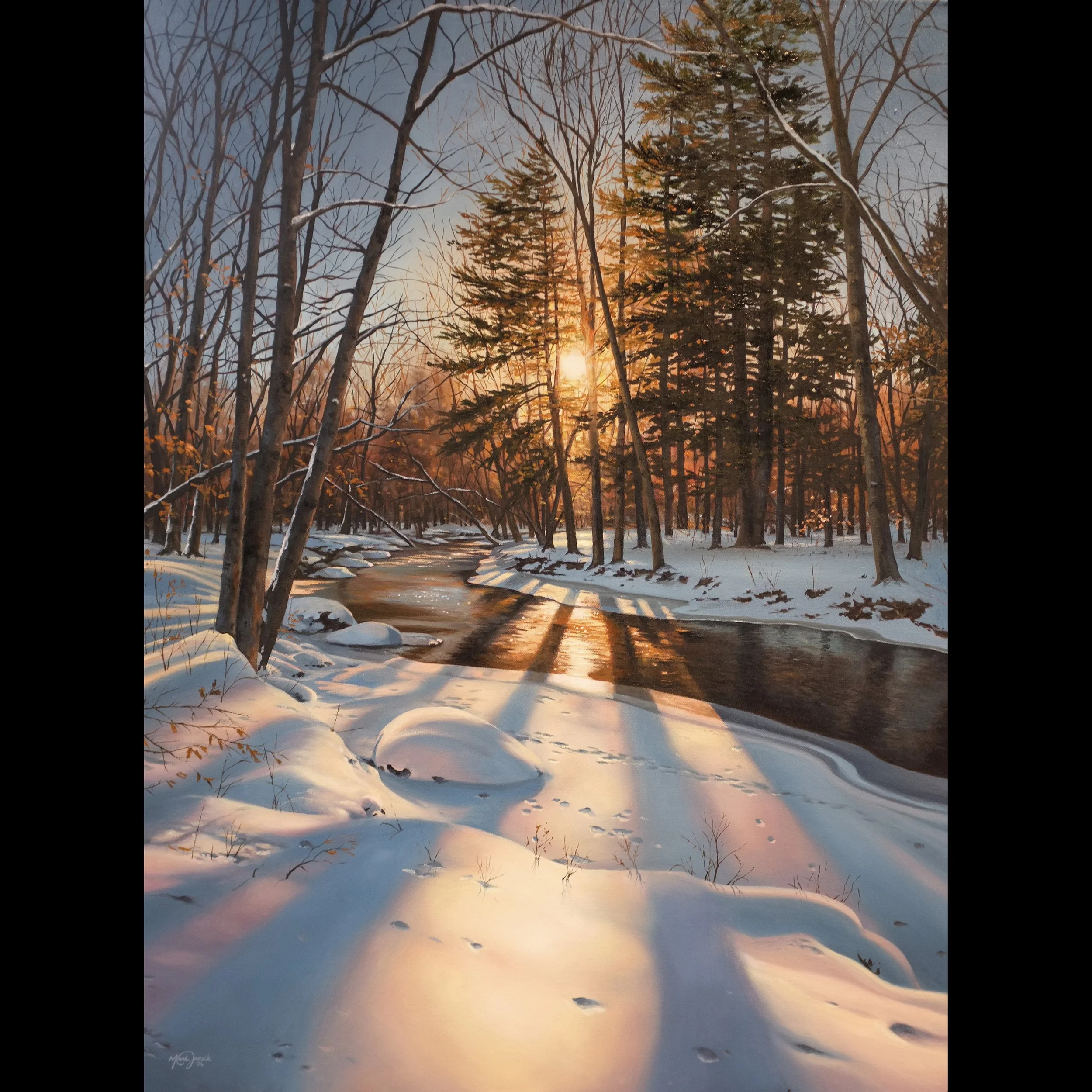 Winter's Warmth