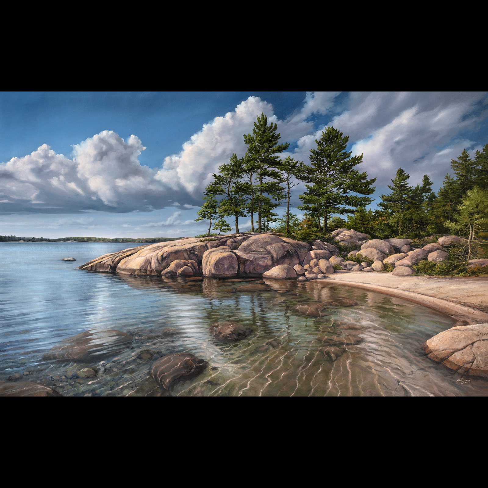 The Welcome Shore