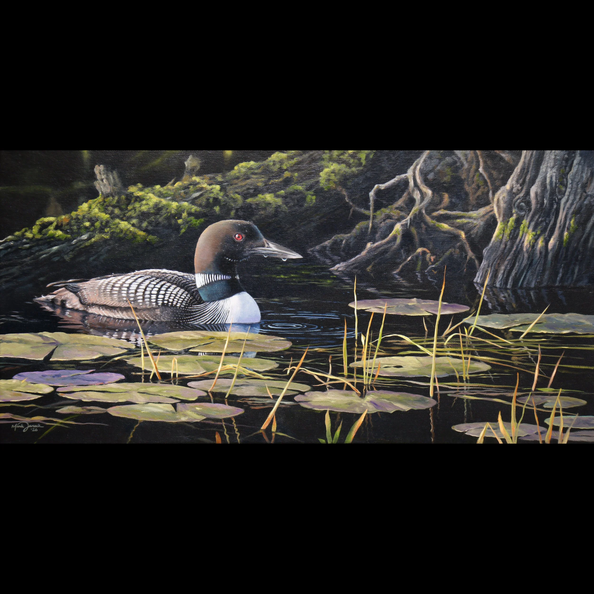 Rain Lake Loon 12x24_$1600 website.jpg