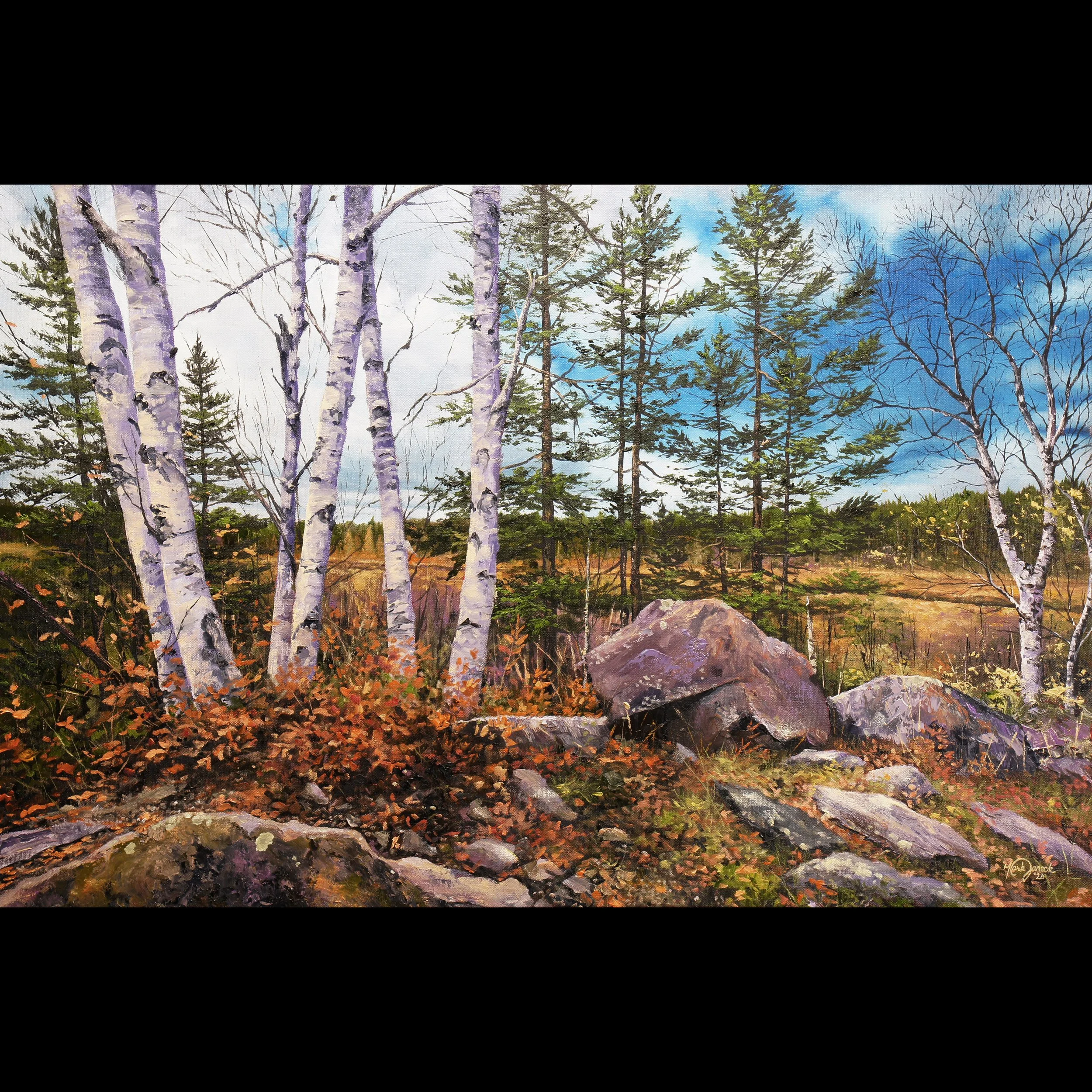 Spruce Bog 24x36_$2900 website.jpg