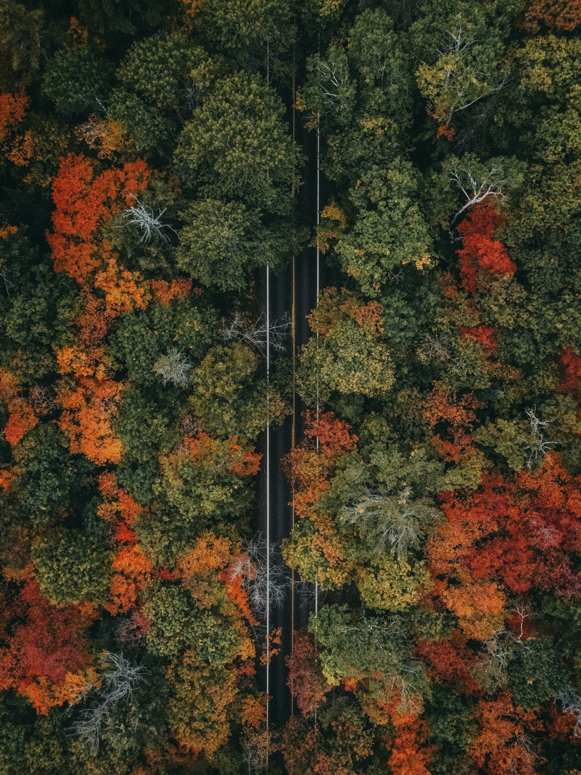 Autumn Equinox Exhibit