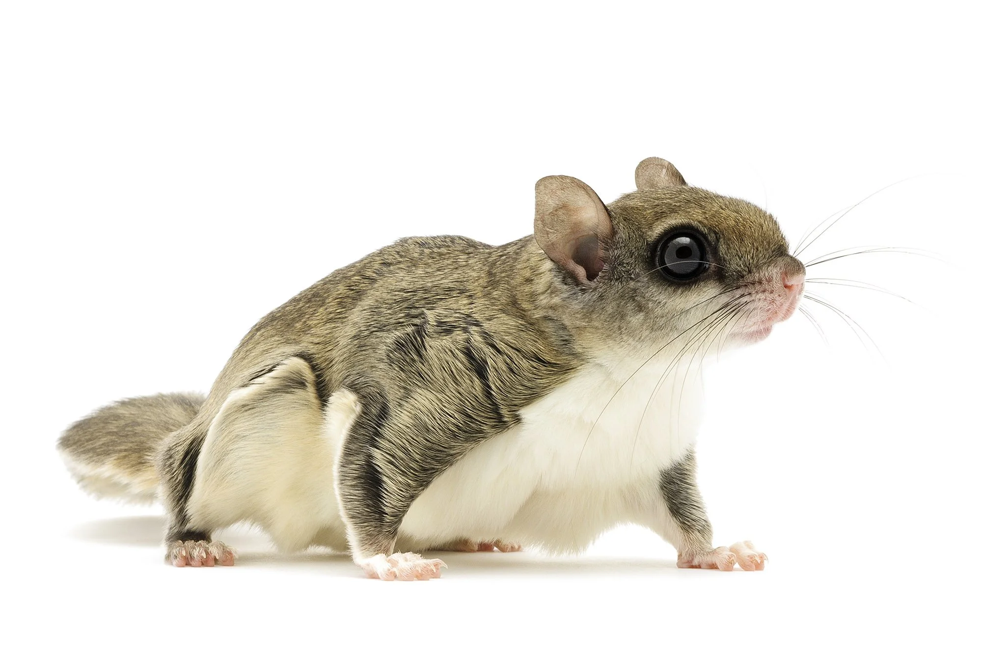 Homeschool Nature Club