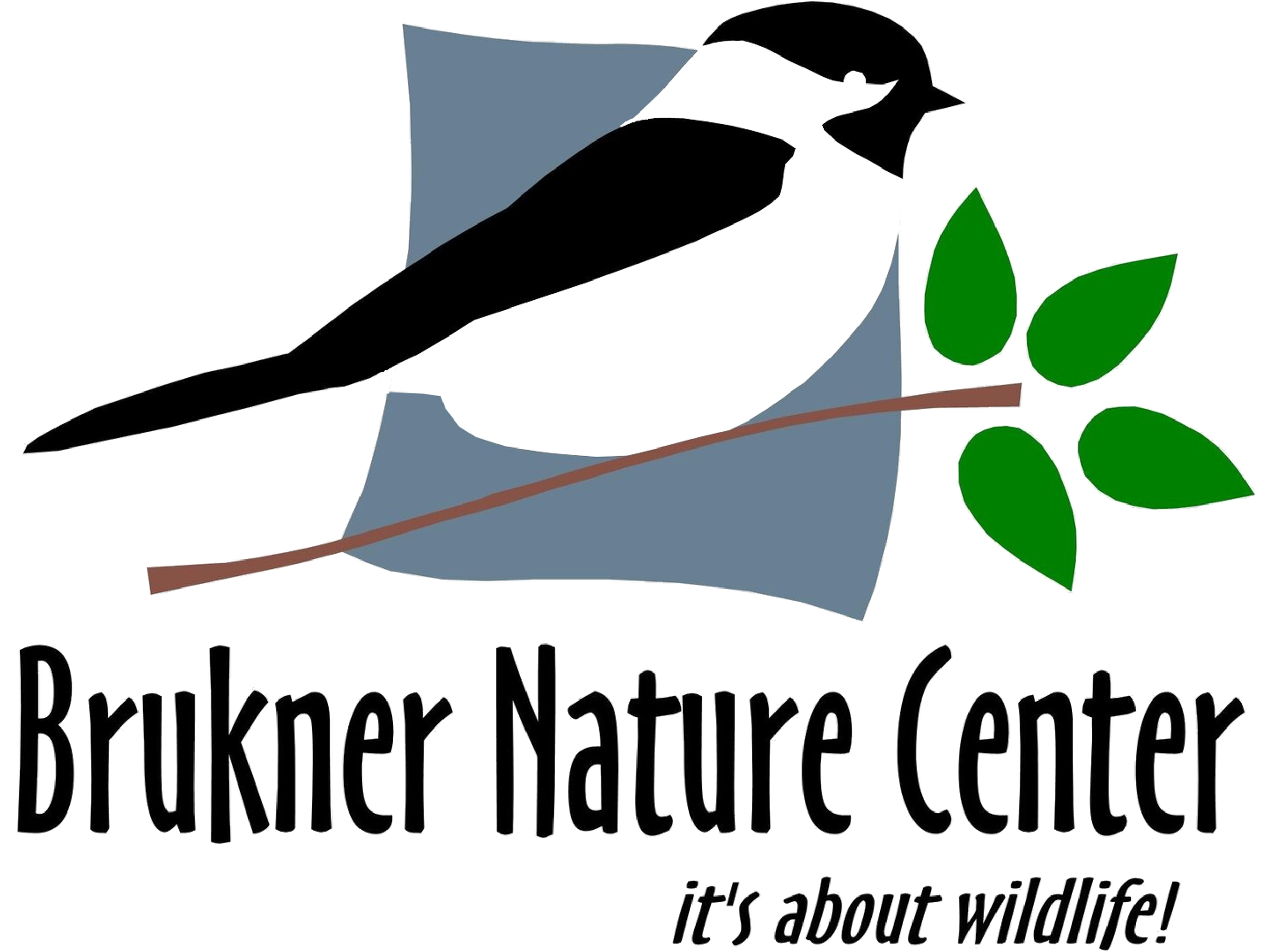 Discover Brukner Nature Center | Troy, OH