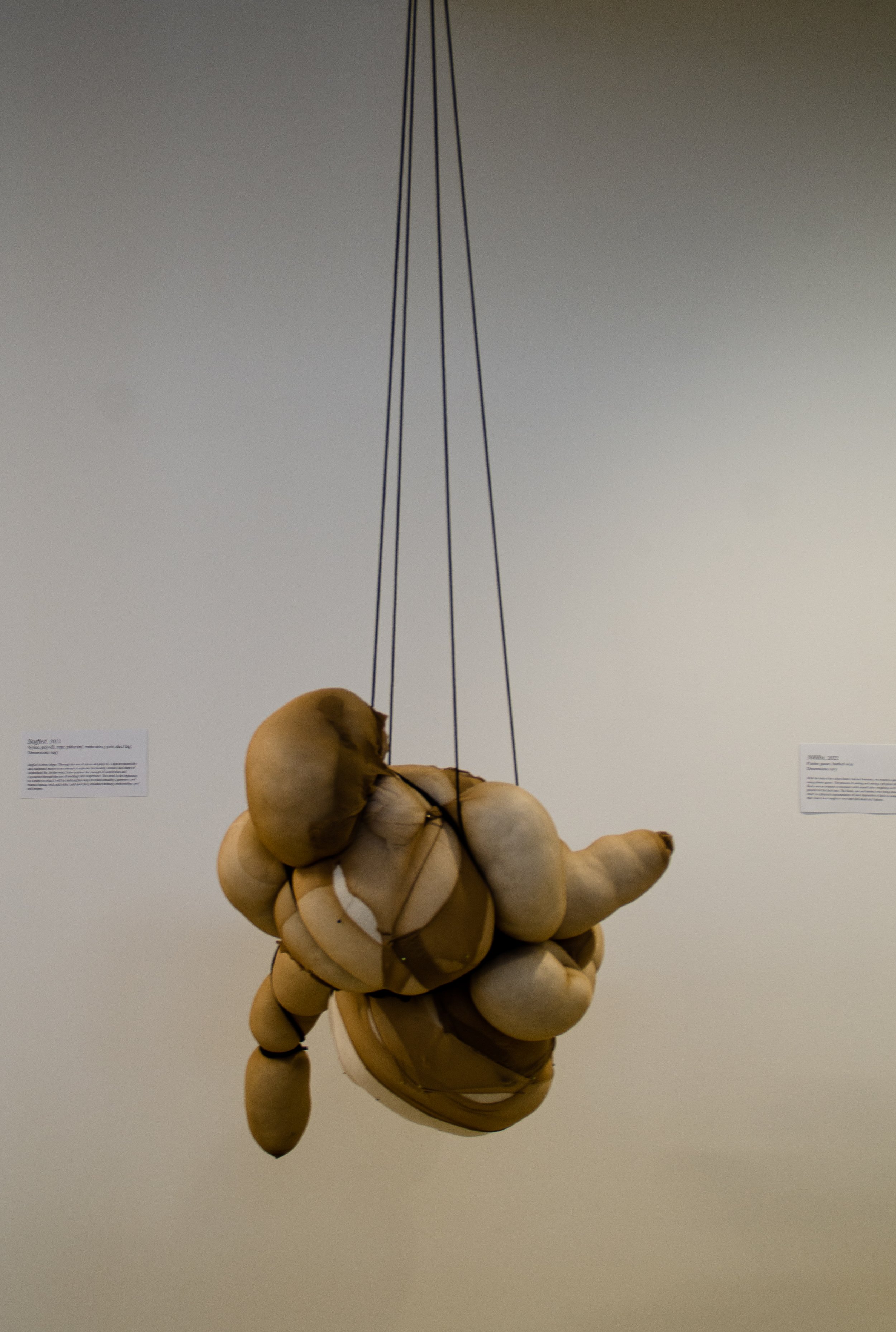 BFAShow-10.jpg