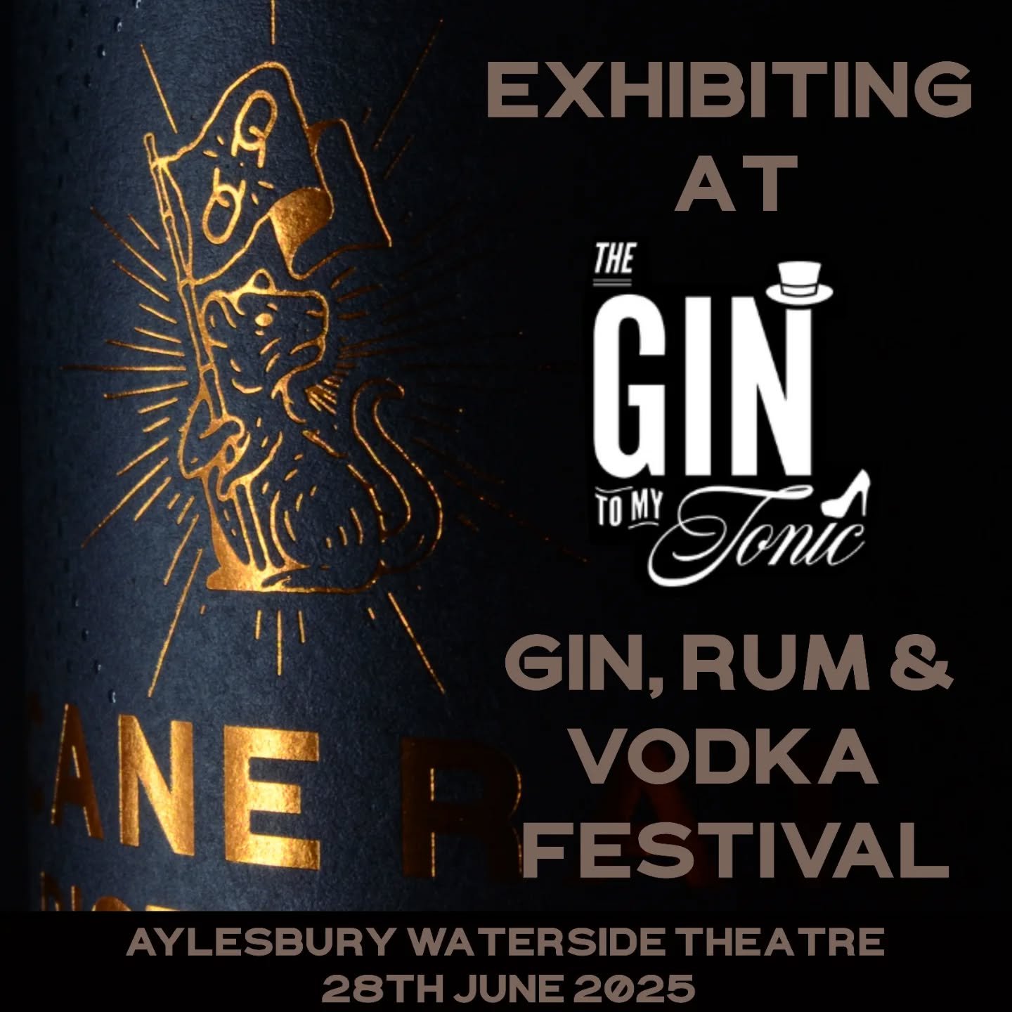 This Saturday, we will be at the @the_gin_to_my_tonic festival taking place at the Waterside theatre in Aylesbury!