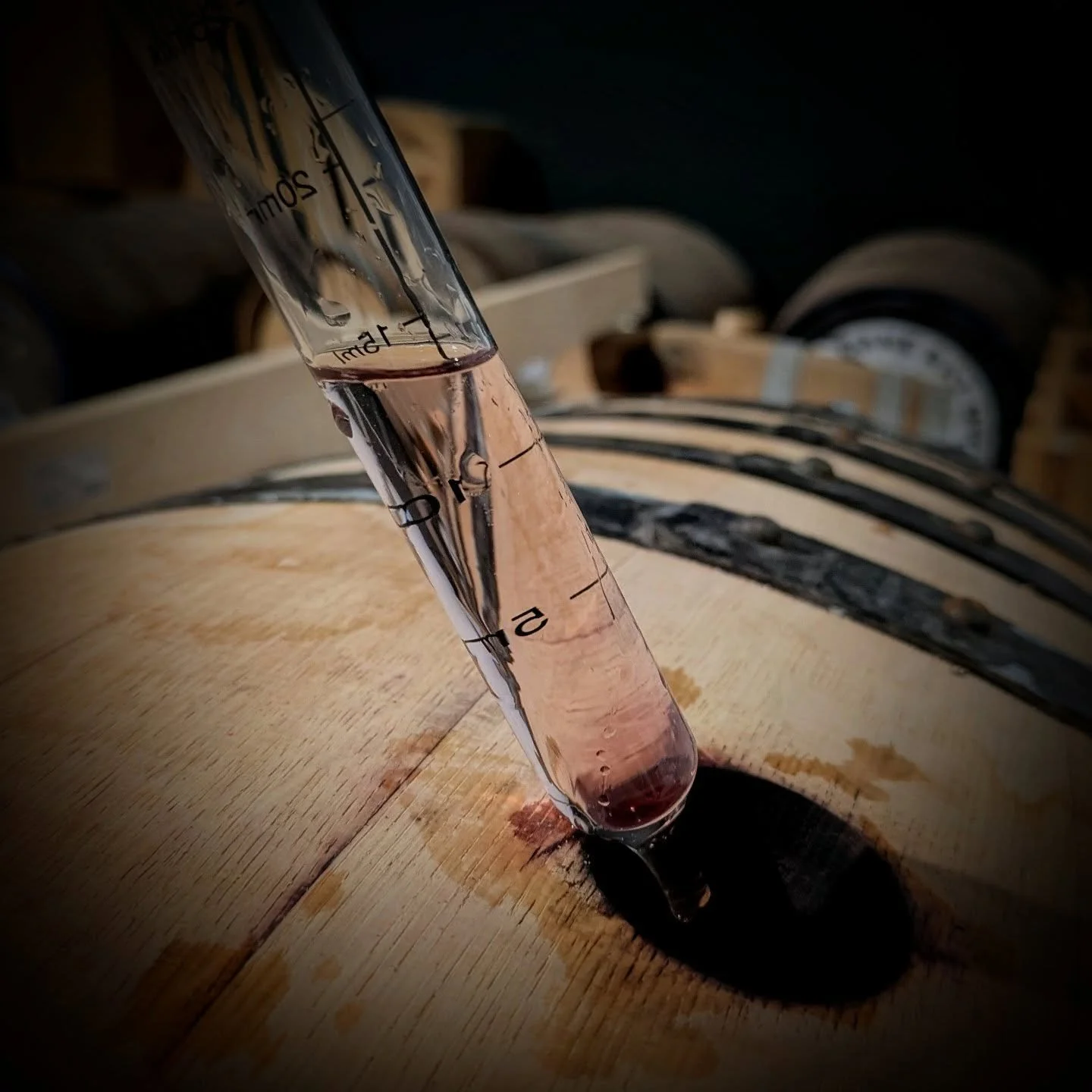 About one month in, and the spirit that started off as a crystal clear liquid, begins to take on the colour of the cask's previous contents.

In this case, red wine.

Over time, this colour will continue to change, likely turning into a deep reddish 
