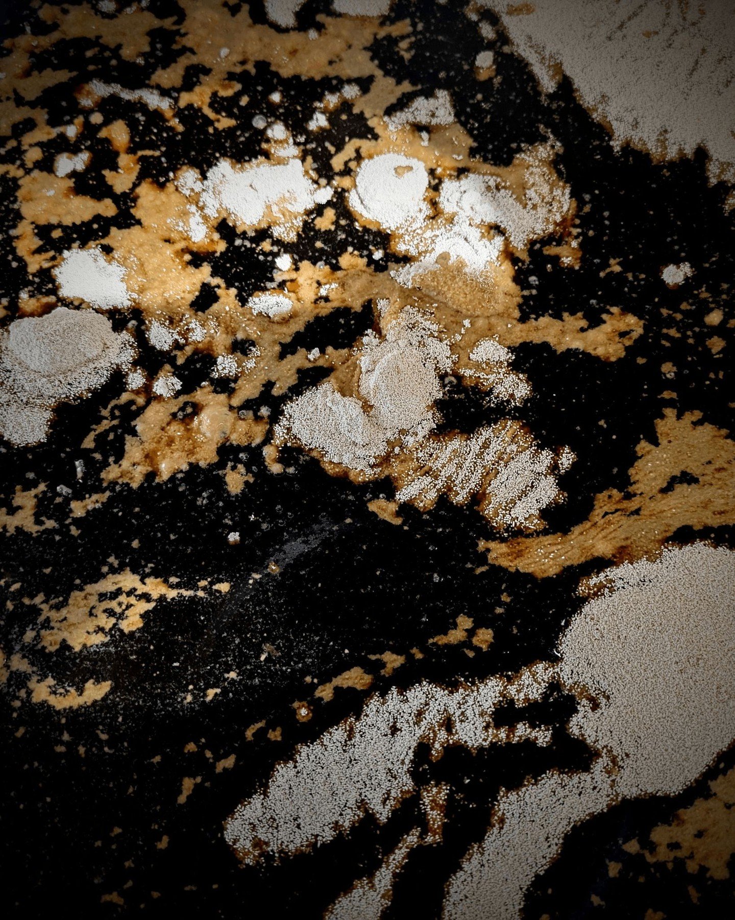 12 Trillion,

That&rsquo;s how many individual yeast cells it takes to make a single barrel of rum.

Over several weeks, they work tirelessly, transforming our organic panela into alcohol and complex flavours.