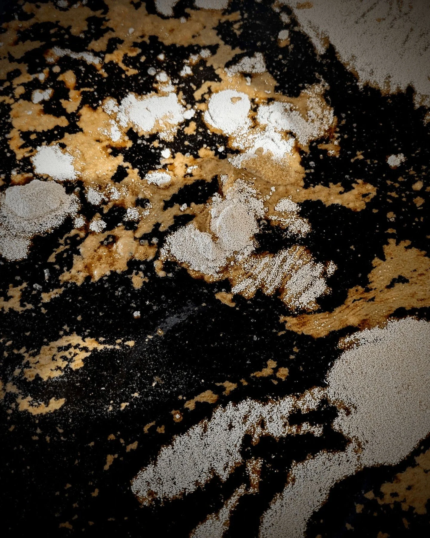 12 Trillion,

That&rsquo;s how many individual yeast cells it takes to make a single barrel of rum.

Over several weeks, they work tirelessly, transforming our organic panela into alcohol and complex flavours.