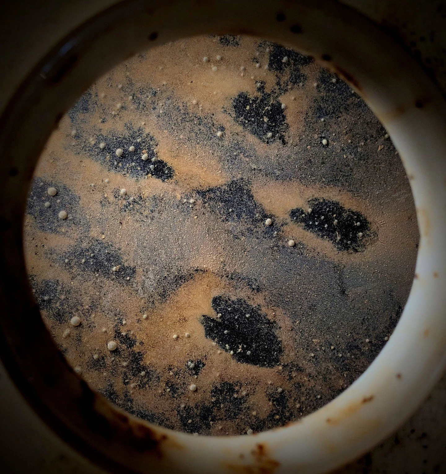 Out of sight... But not out of mind. November was the last time we opened this fermentation vat up. 
By then, the wash had already  been sitting there for approximately 8 months.

Long fermentation times mean more ester production, let's see how this