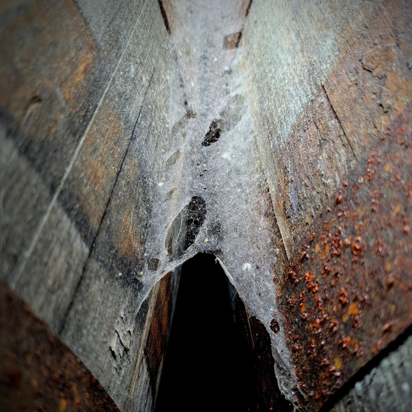 Cobwebs... These casks haven&rsquo;t been moved in months, and they likely won&rsquo;t be for a few more years, when the liquid inside is ready to be bottled.

Many brands are taking shortcuts by adding flavourings, sweeteners and colours to make the