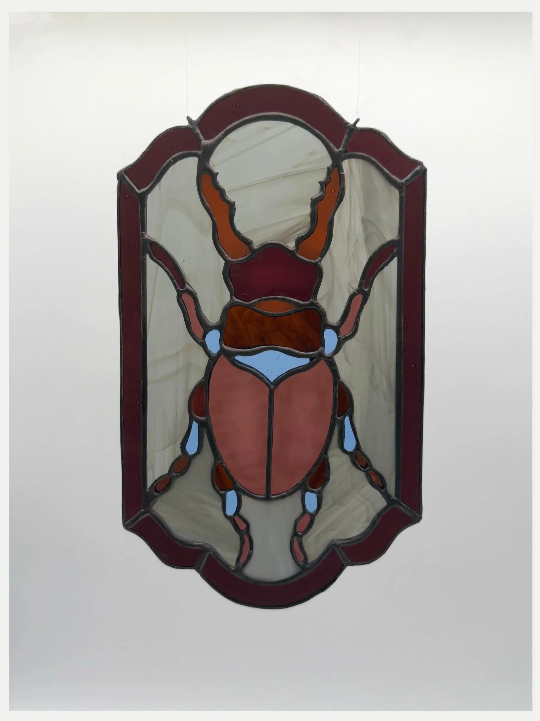 Stag Beetle